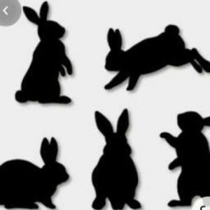 Meet your Posher, Blanca